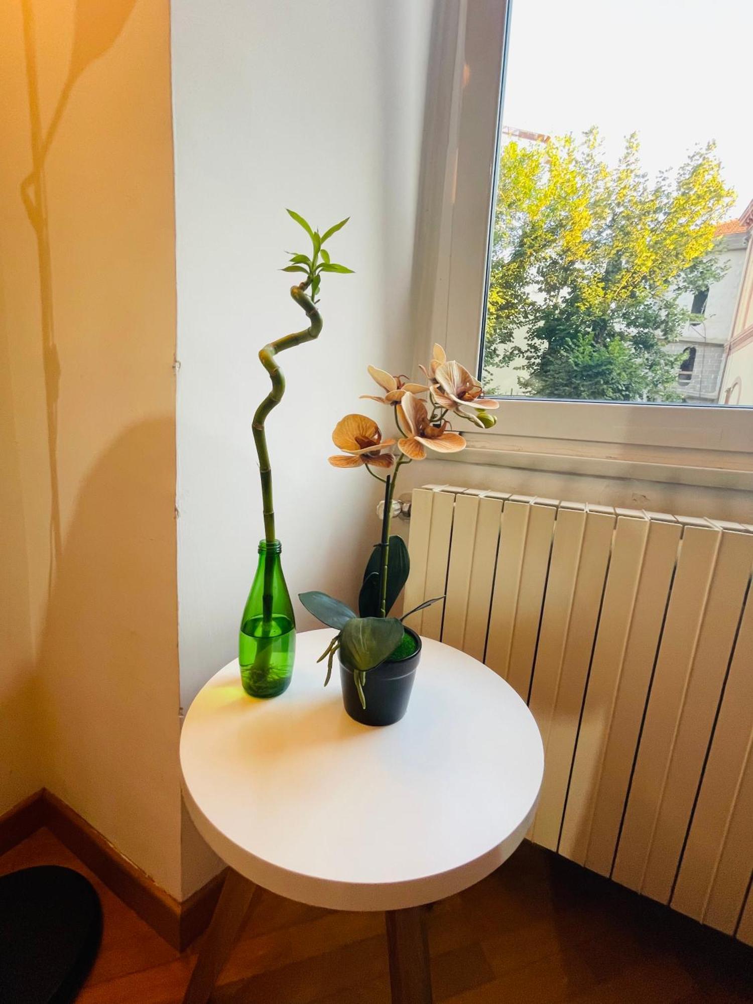 Holiday Colosseum Rome Bed and Breakfast Εξωτερικό φωτογραφία