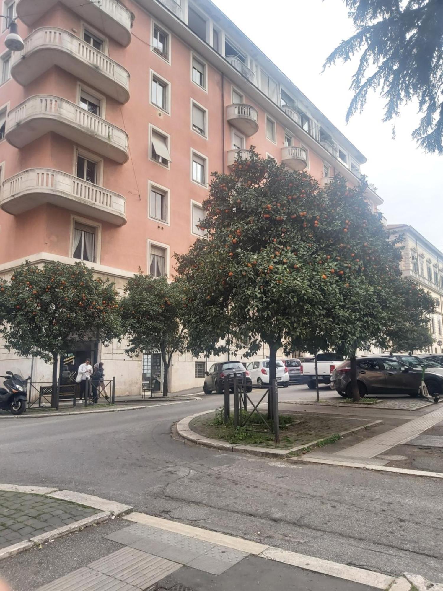 Holiday Colosseum Rome Bed and Breakfast Εξωτερικό φωτογραφία